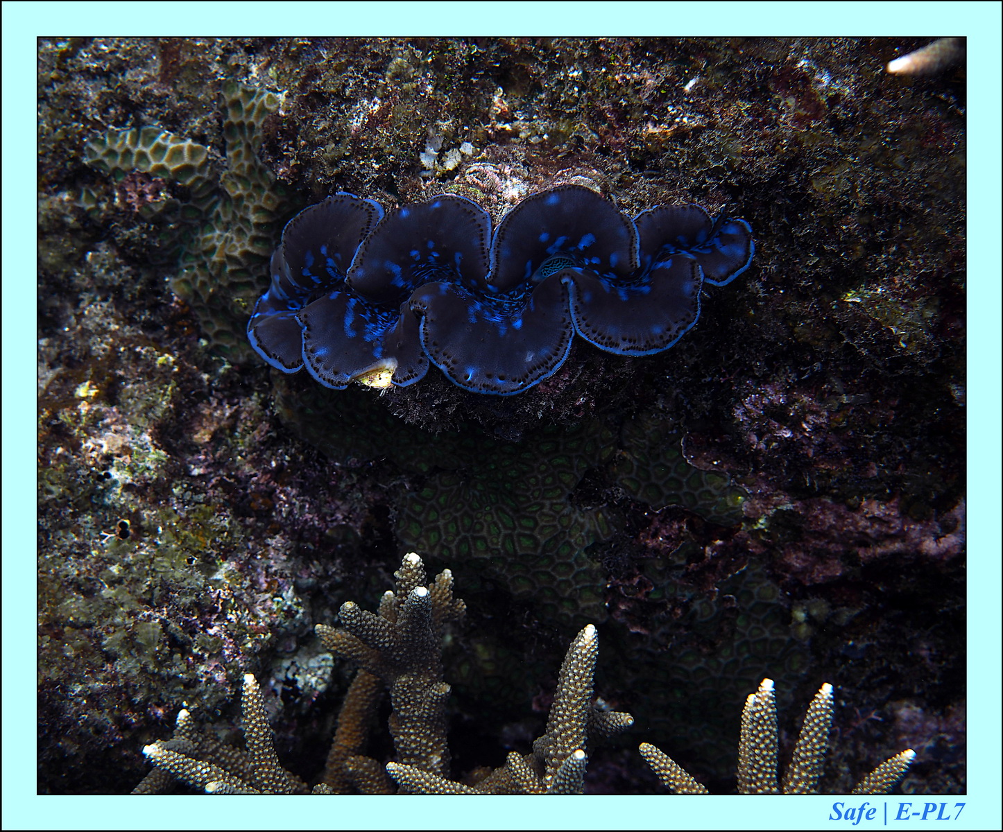 2016 - 07 - Leng Tengah - 036